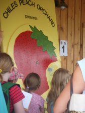 Strawberry Field Trip