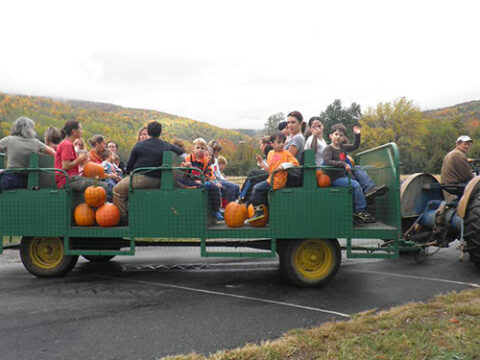 Tractor ride in Crozet