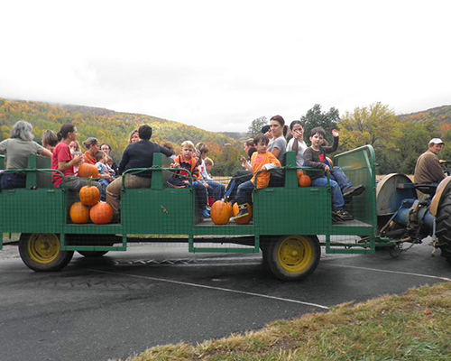 Tractor ride in Crozet back from the Pick your own pumpkin patch