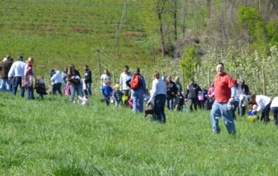 Easter egg hunt at Carter Mountain Orchard (2012)