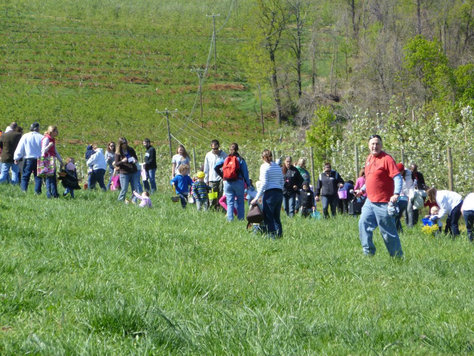 Easter egg hunt at Carter Mountain Orchard (2012)