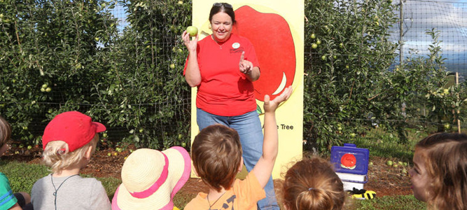 Field trip educator Patty Vandever explains the growing cycle of an apple to a group of Molly Michie Co-op Preschool students during a field trip Wednesday at Carter Mountain Orchard in Albemarle County. Photo/The Daily Progress/Andrew Shurtleff
