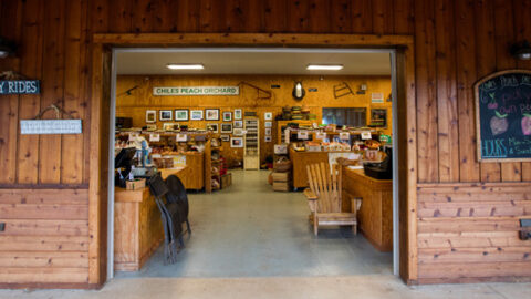 Crozet Farm Market at Chiles Peach Orchard