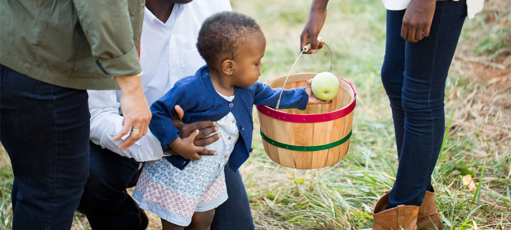 Family picking apples in Charlottesville
