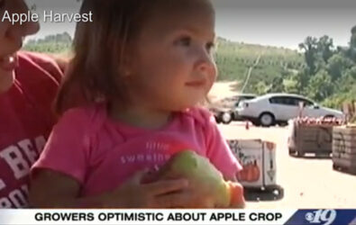 Good apple harvest in Charlottesville, video from CBS19 Newsplex