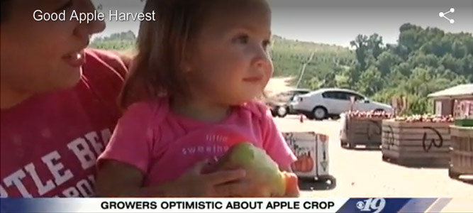 Good apple harvest in Charlottesville, video from CBS19 Newsplex