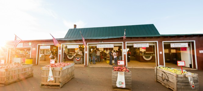 Carter Mountain Orchard farm market