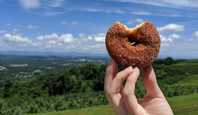 Cider donut with mountain views in background at Carter Mountain Orchard