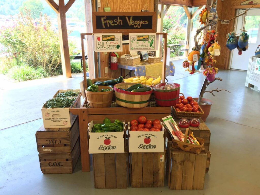 Fruit, Canned Peach Slices, Organic, Native Forest – The Downtown Farm Stand