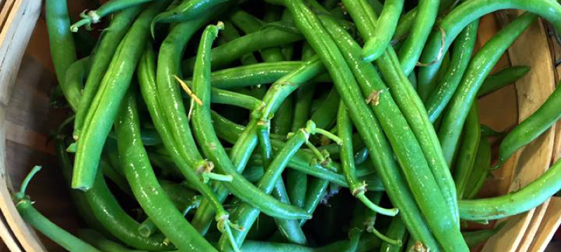 basket of Green Beans