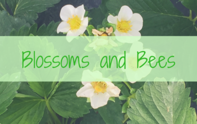 Blossoms and Bees Event
