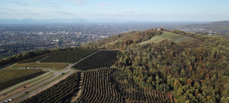 Carter Mountain Orchard aerial view