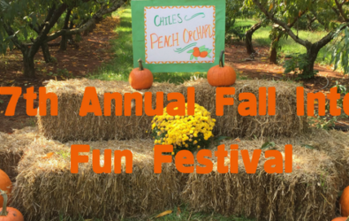 Hay Bales with Fall into Fun text