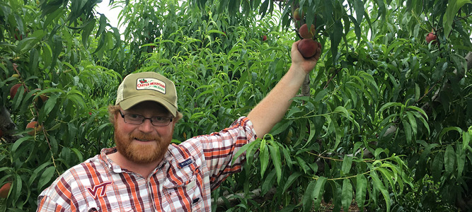 Henry Chiles with the peaches at Chiles Peach Orchard