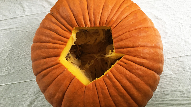 stem cut out of pumpkin