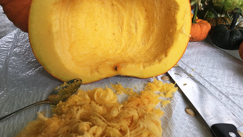 spoon used to scrape out pumpkin pulp and seeds