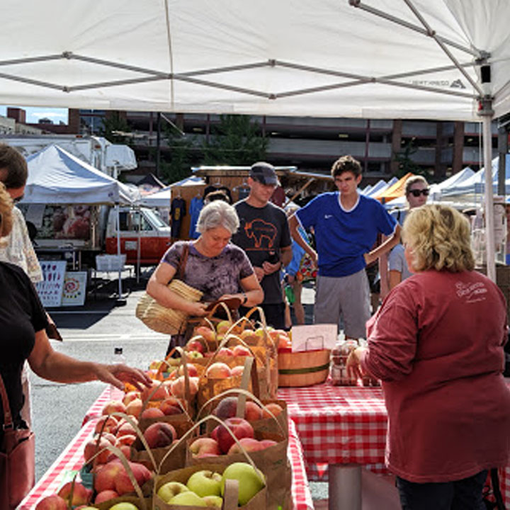 Chiles Family Orchards apples and donuts at Charlottesville City Market