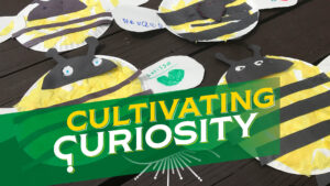 Cultivating Curiosity children's program