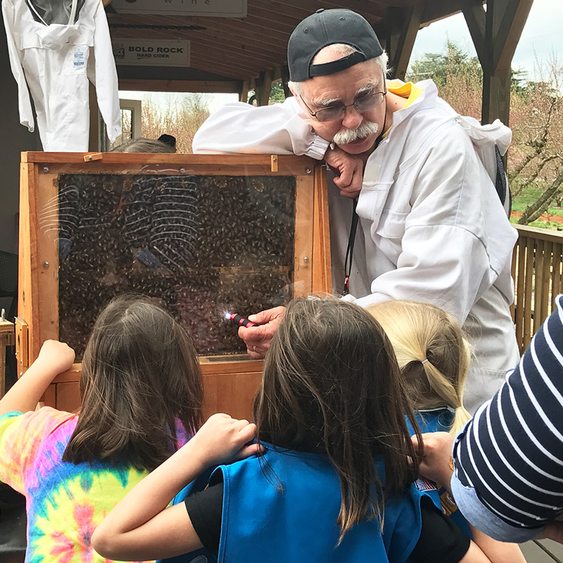 Children learning about how bees impact our environment