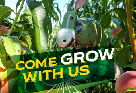 Come Grow with Us children's event at Chiles Peach Orchard