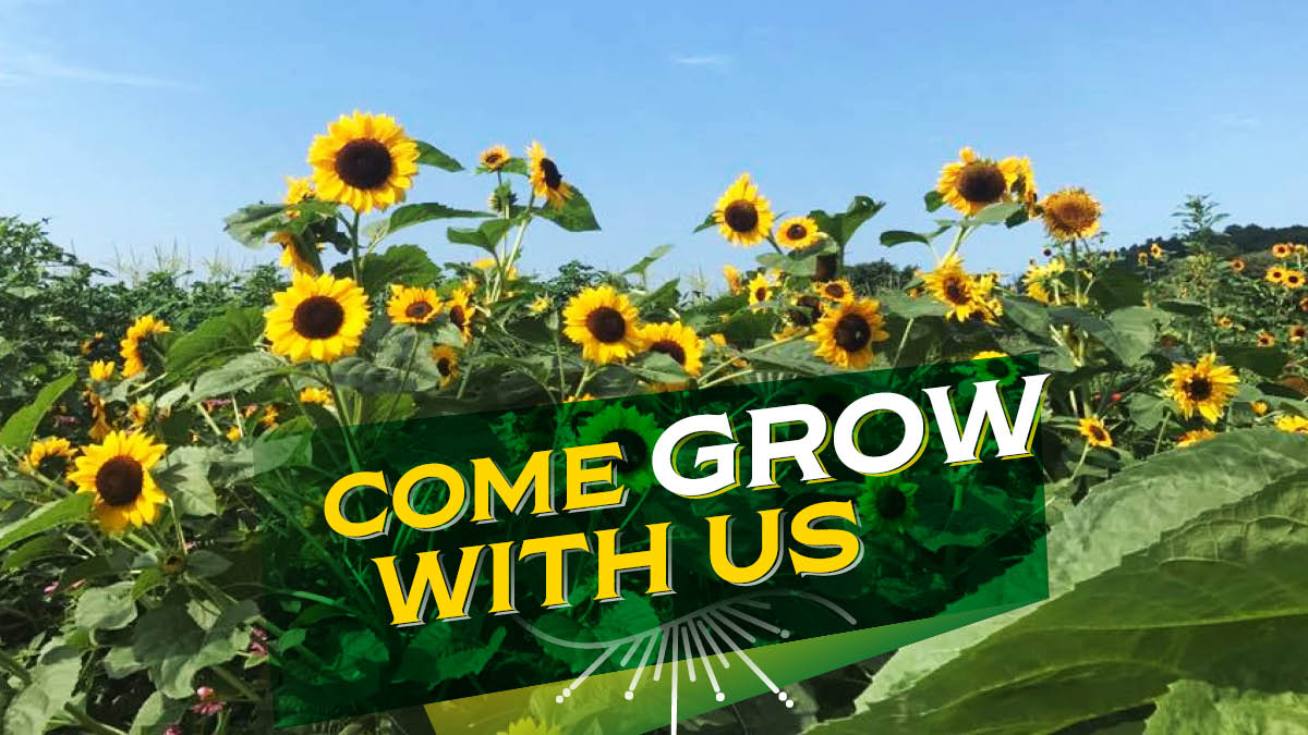 Come Grow with Us children's event at Chiles Peach Orchard