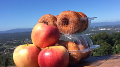 Apples with donuts and view