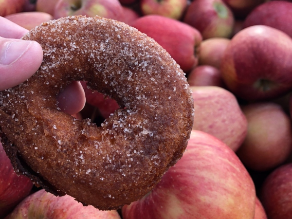 Chiles Warm Apple Cider Donut