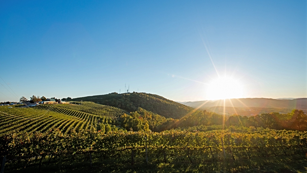 View of the sun shining over Carter Mountain fields