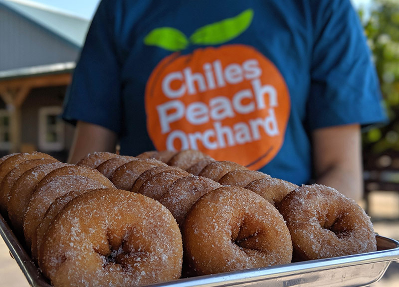 Fresh apple cider donuts at Chiles Peach Orchard