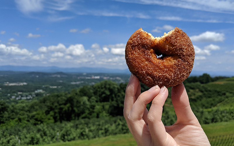 Cider donut with mountain views in background at Carter Mountain Orchard