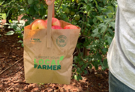 Medium bag of Virginia apples