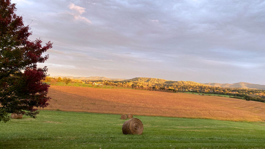 Virginia Wine at Chiswell Farm & Winery Chiles Family Orchards
