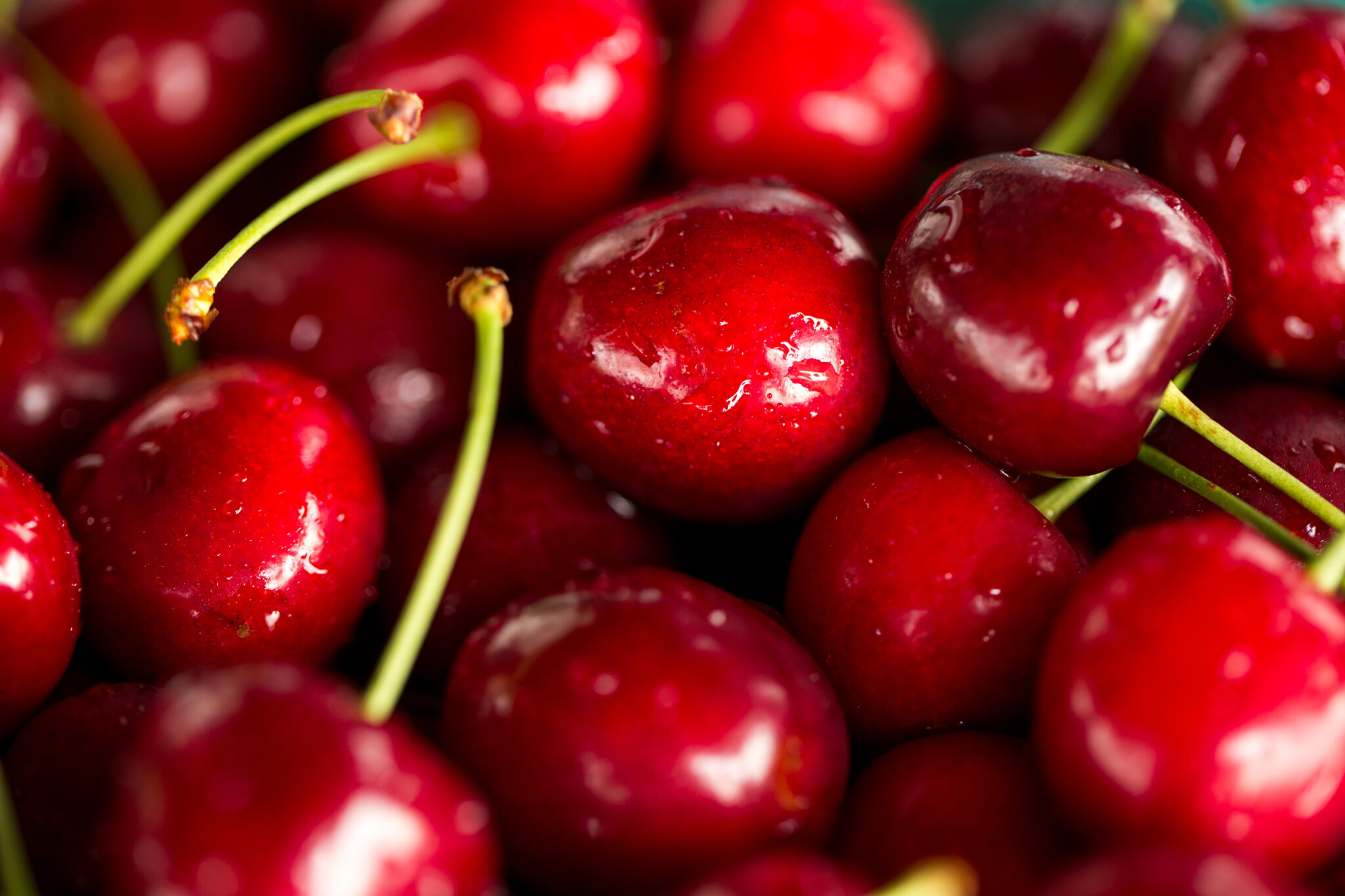 Learn About Sweet Cherries | Chiles Family Orchards