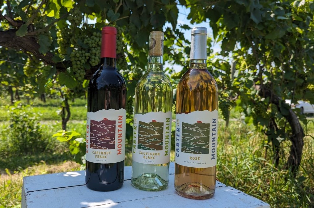 Carter Mountain Wine in vineyard