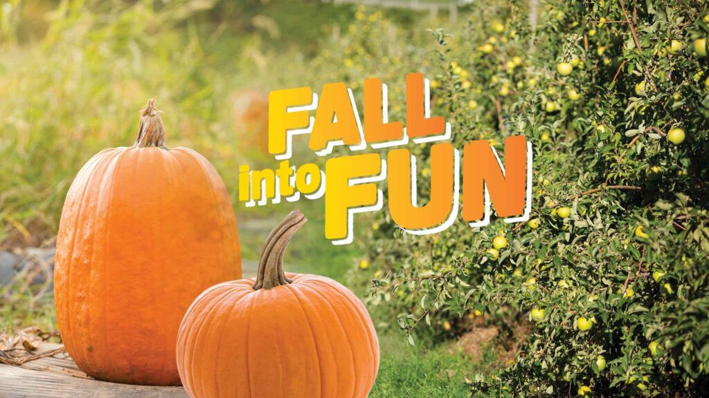 Fall Into Fun Festival at Chiles Peach Orchard