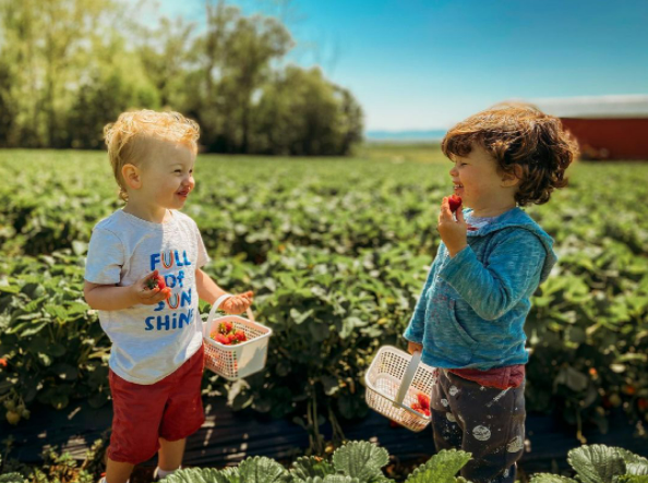 instagram kids strawberry picking