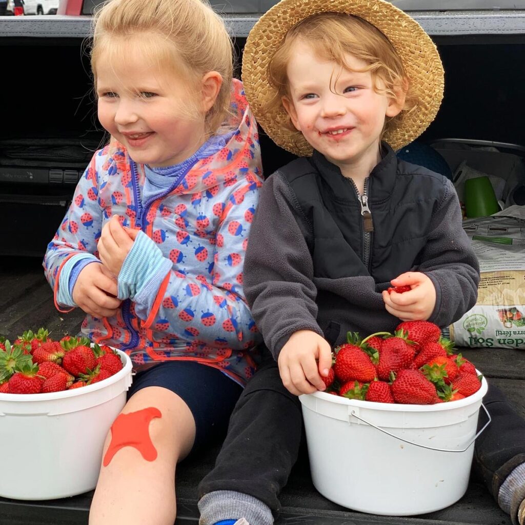 Kids with freshly picked strawberries from Chiles Peach Orchard