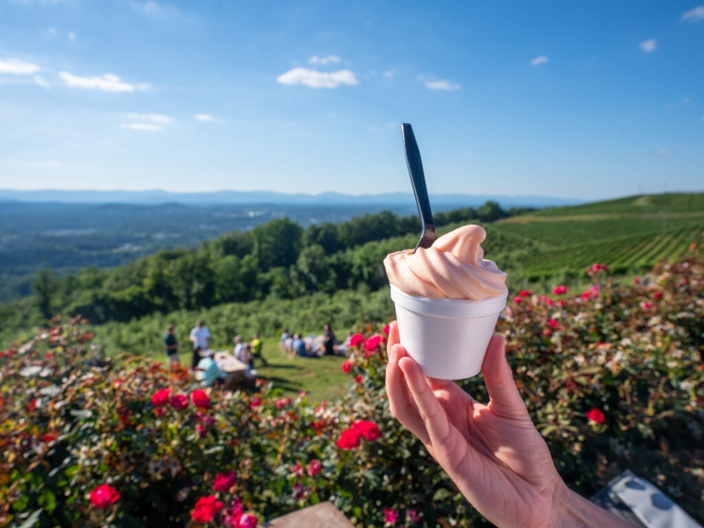 Sanjay Suchak photo of Carter Mountain Orchard ice cream