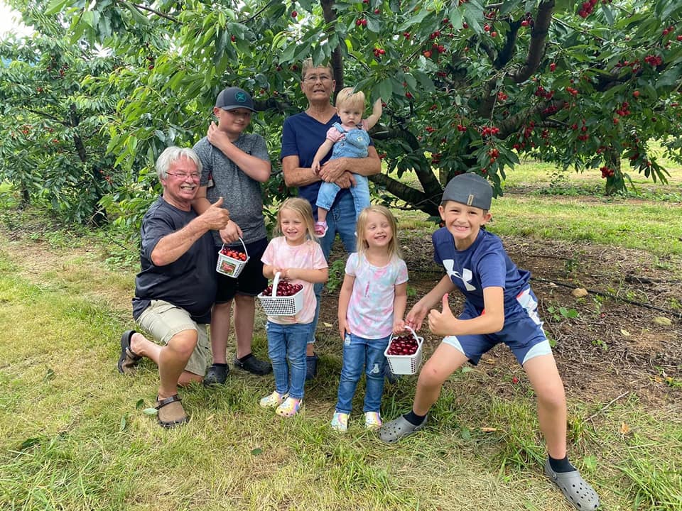 Family picking sweet cherries at spring valley orchard