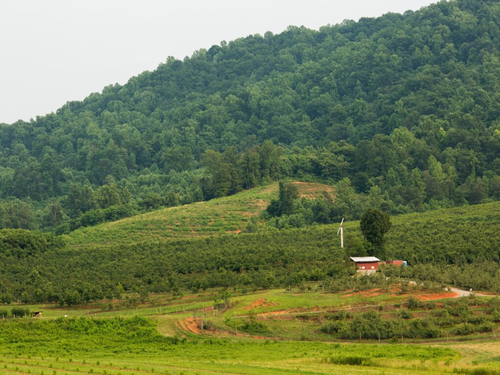 Scenery around Spring Valley Orchard in Afton