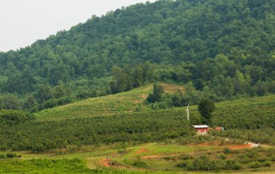 Spring Valley Orchard in the Blue Ridge Mountains