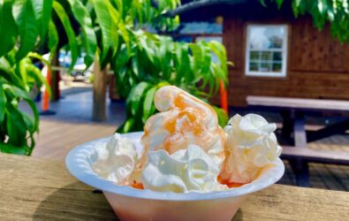 Ice cream sundae with peaches at Chiles Peach Orchard in Crozet