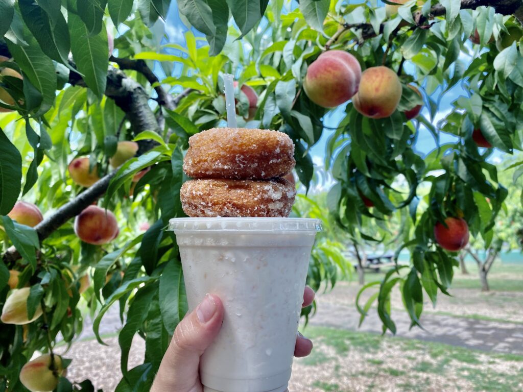 peach milkshake with cider donuts