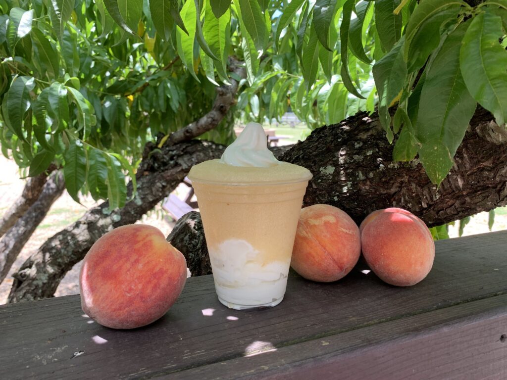 Peach ice cream slushie float
