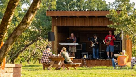 Live music at Chiles Peach Orchard