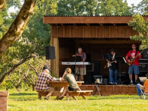 Live music at Chiles Peach Orchard