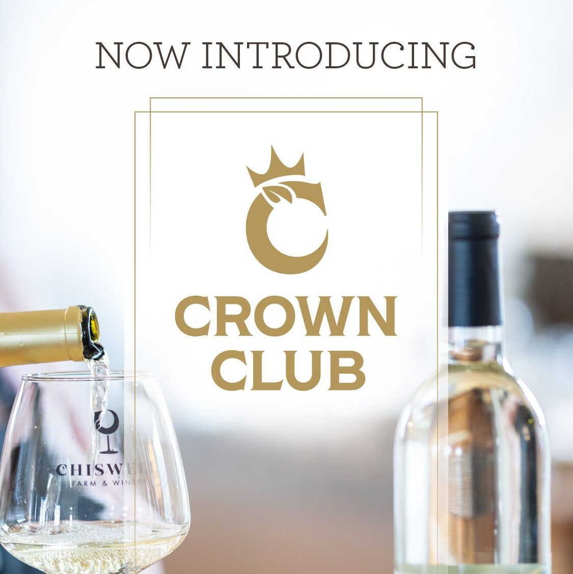 Now Introducing Crown Club