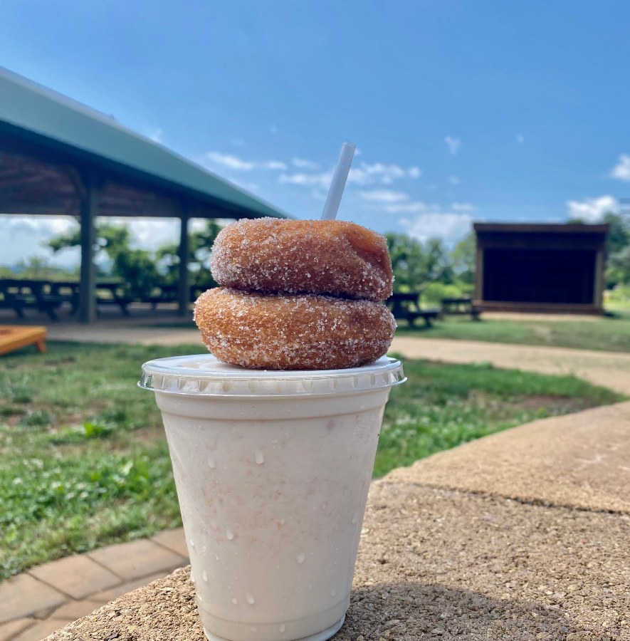 Two donuts stacked on a milkshake