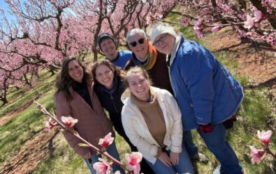 Six people smiling among blossoming fruit trees