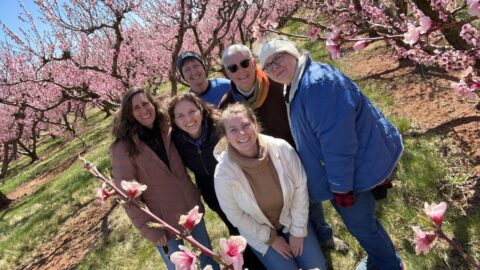 Six people smiling among blossoming fruit trees